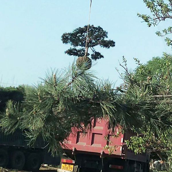 裝車現(xiàn)場